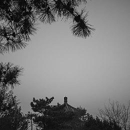 基努里维斯喜欢他扮演的《赛博朋克2077》角色